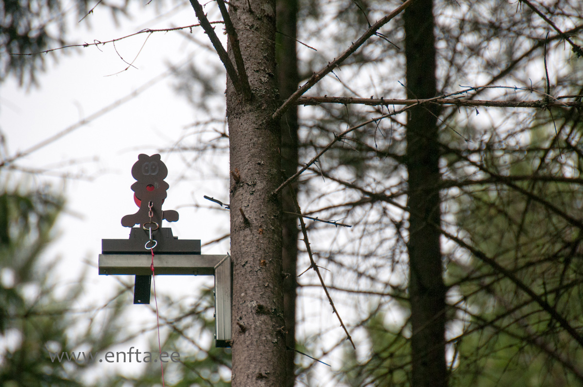 Target up high 8 m 45 degrees